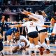 Utah Valley Volleyball Roster: Unlocking a World of Talent and Potential | Volleyball Hub Your Guide to the Game You Love Play, Train, and Compete
