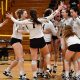 Unveiling the Adelphi University Volleyball Roster: A Treasure Trove of Talent and Triumphs | Volleyball Hub Your Guide to the Game You Love Play, Train, and Compete