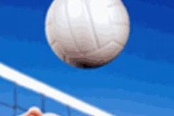 Uncover the Captivating World of Tiki Beach Volleyball: A Sport of Sun, Fun, and Competition | Volleyball Hub Your Guide to the Game You Love Play, Train, and Compete