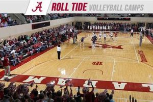 Volleyball Brilliance Uncovered: Discoveries Await at Alabama University Camp Volleyball Hub Your Guide to the Game You Love Play, Train, and Compete Volleyball Brilliance Uncovered: Discoveries Await at Alabama University Camp | Volleyball Hub Your Guide to the Game You Love Play, Train, and Compete
