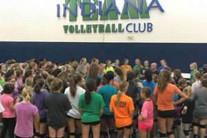Unveiling the Ultimate Hotel Guide for Team Indiana Volleyball Club Fans | Volleyball Hub Your Guide to the Game You Love Play, Train, and Compete