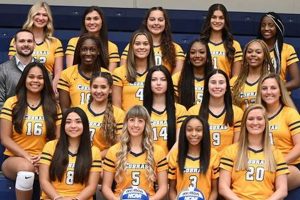 Unveiling the Coker Volleyball Roster: Discoveries and Insights Await | Volleyball Hub Your Guide to the Game You Love Play, Train, and Compete