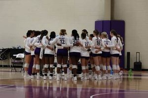 Unveiling the Secrets of Converse Volleyball Rosters: A Journey of Discovery | Volleyball Hub Your Guide to the Game You Love Play, Train, and Compete