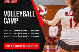 Discover the Best College Volleyball Camps 2024 Near You Volleyball Hub Your Guide to the Game You Love Play, Train, and Compete Discover the Best College Volleyball Camps 2024 Near You | Volleyball Hub Your Guide to the Game You Love Play, Train, and Compete