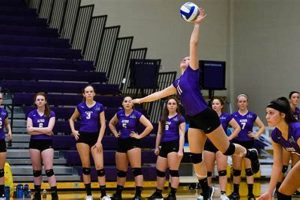 Unleashing the Secrets of Alfred University Volleyball: Discoveries and Insights Volleyball Hub Your Guide to the Game You Love Play, Train, and Compete Unleashing the Secrets of Alfred University Volleyball: Discoveries and Insights | Volleyball Hub Your Guide to the Game You Love Play, Train, and Compete
