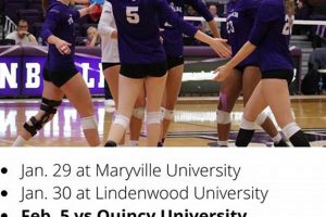 Unveiling the Missouri State University Volleyball Schedule: Discover the Path to Victory | Volleyball Hub Your Guide to the Game You Love Play, Train, and Compete
