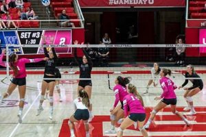 Unveiling Houston Volleyball Camps: Discoveries and Insights Await! | Volleyball Hub Your Guide to the Game You Love Play, Train, and Compete