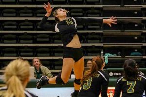 Discover the Secrets of Success at Humboldt State Volleyball Camp | Volleyball Hub Your Guide to the Game You Love Play, Train, and Compete
