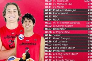 Discover the Intriguing World of CSUN Beach Volleyball: A Journey of Triumphs Volleyball Hub Your Guide to the Game You Love Play, Train, and Compete Discover the Intriguing World of CSUN Beach Volleyball: A Journey of Triumphs | Volleyball Hub Your Guide to the Game You Love Play, Train, and Compete